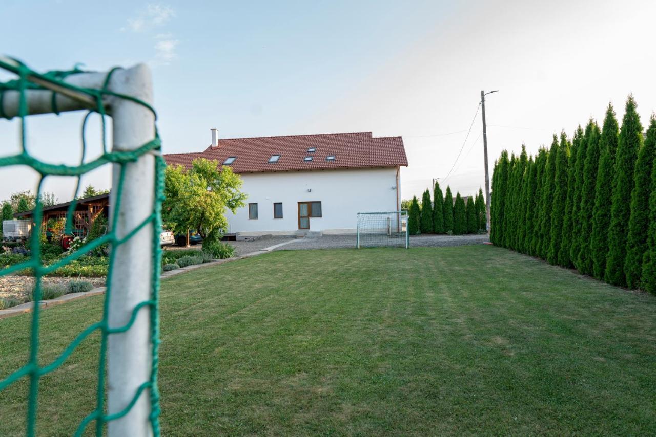 Pensiunea Gassi Sancraiu de Mures Exteriér fotografie