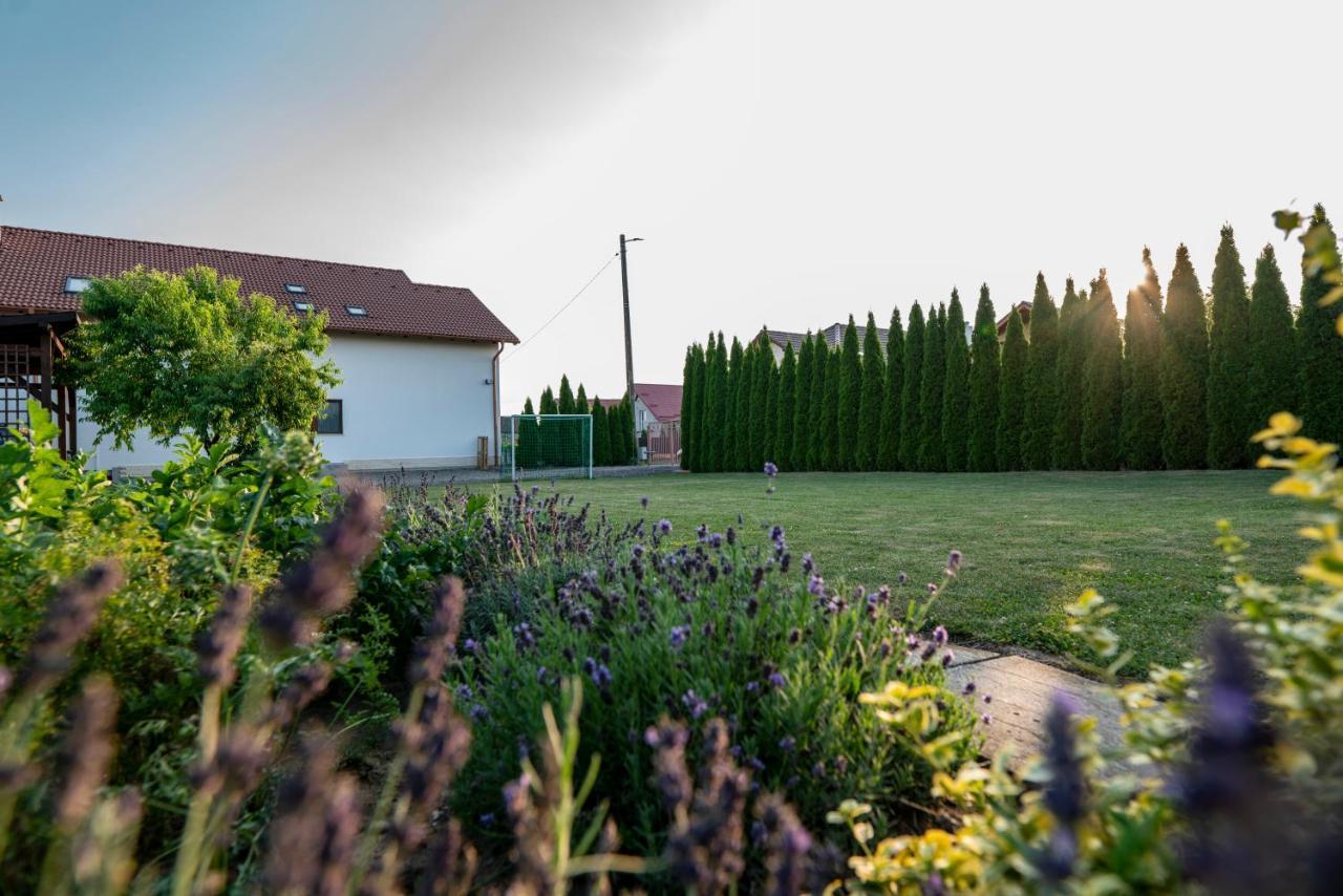 Pensiunea Gassi Sancraiu de Mures Exteriér fotografie